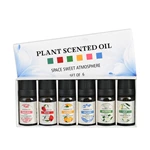 人気トップ6 10ml ブレンドエッセンシャルオイルセット（商品番号：EO04）