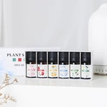 人気トップ6 10ml ブレンドエッセンシャルオイルセット（商品番号：EO04）