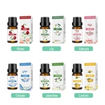 TOP 1 10ml ブレンドエッセンシャルオイル No.：EO01