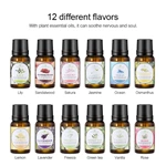 人気No.1 10ml ピュアエッセンシャルオイル（品番：EO13）