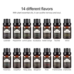 売れ筋No.1 10ml ピュアエッセンシャルオイル（品番：EOS001）