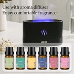 人気トップ6 10ml ブレンドエッセンシャルオイルセット（商品番号：KEO006）